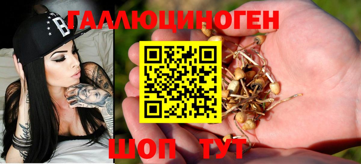 Галлюциногенные грибы GOLDEN TEACHER Отрадное