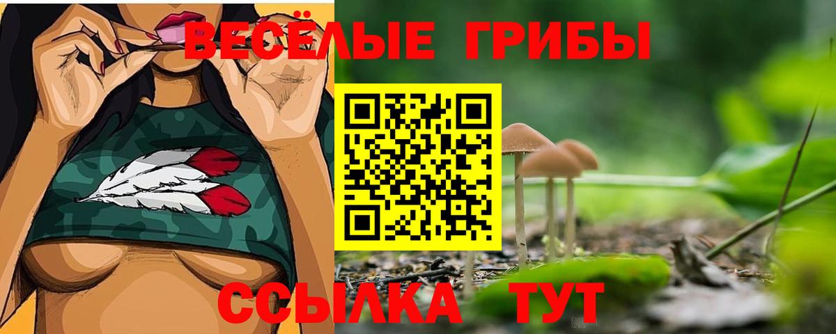 Псилоцибиновые грибы Psilocybine cubensis  Псилоцибиновые грибы Cubensis  Вход с VPN  купить наркоту  Отрадное 